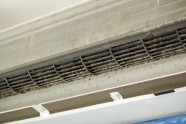 Best Duct Cleaning for Offices  in Grain Valley, MO